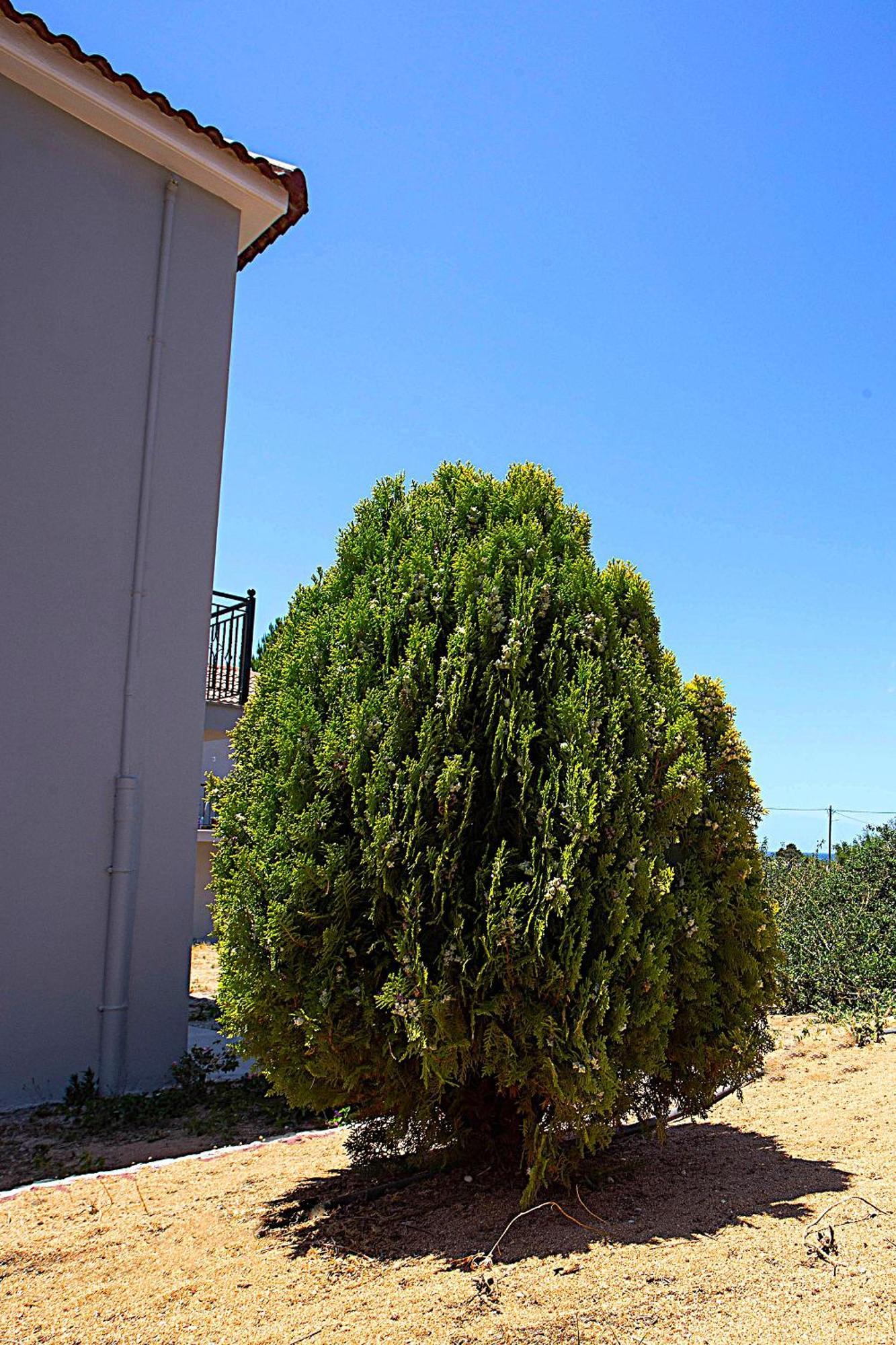 Romanos Beach Villas Exterior photo